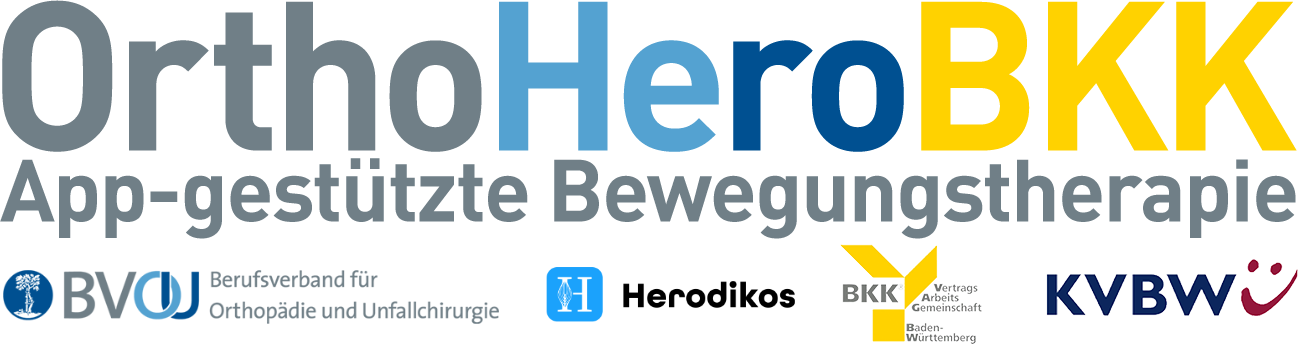 OrthoHeroBKK-Logo